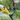 Mellif Cordless Edger Compatible with Dewalt 20V MAX Battery - FordWalt