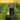 Mellif Tiller Cultivator Cordless Compatible with Dewalt 20V MAX Battery - FordWalt
