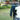 3.17 Gallon Battery Powered Backpack Sprayer Compatible with Dewalt 20V Battery - FordWalt